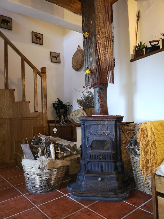 Toca Do Esquilo - Montesinho Villa Montezinho Eksteriør bilde