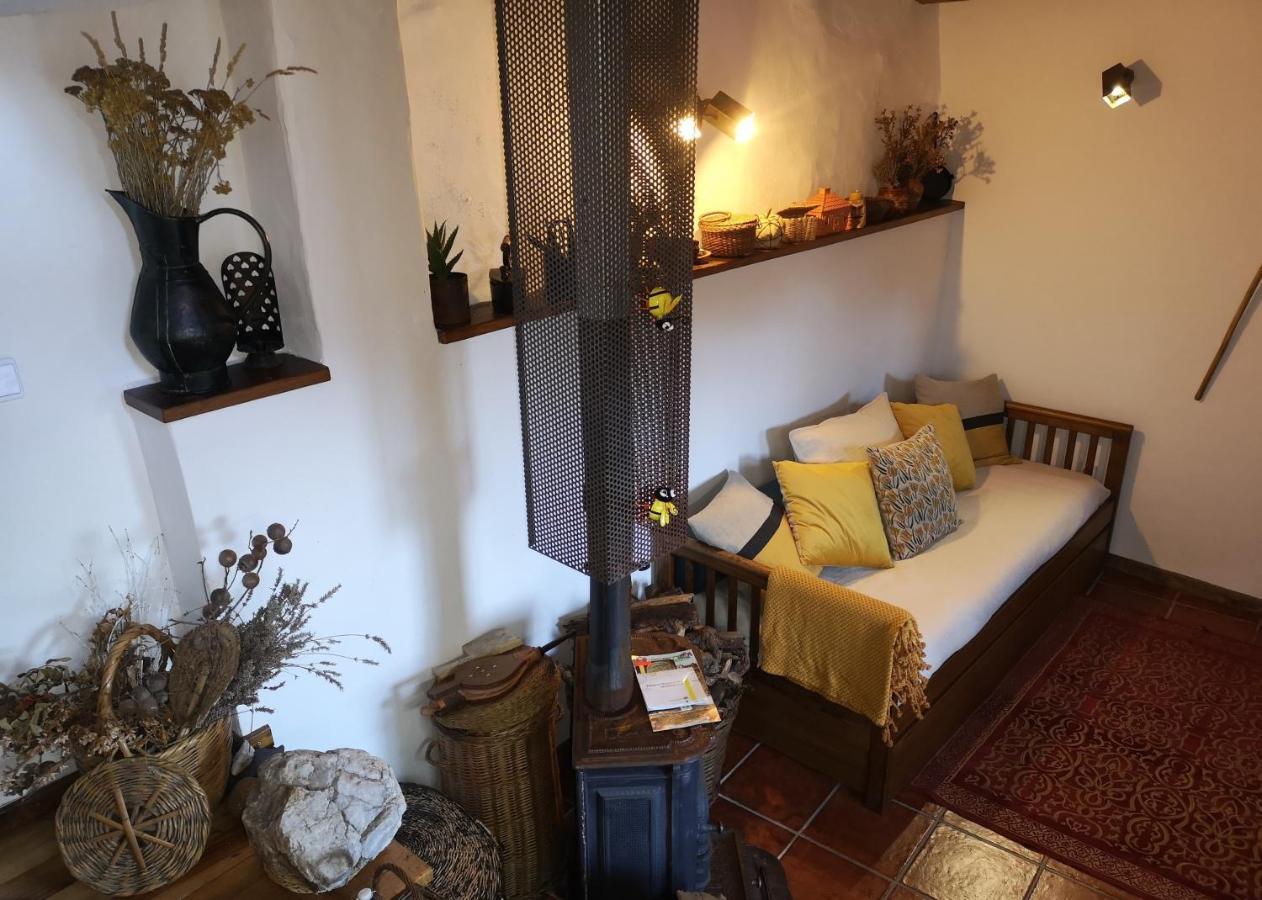 Toca Do Esquilo - Montesinho Villa Montezinho Eksteriør bilde